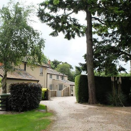 Pippin Heath House B&B 霍尔特 外观 照片